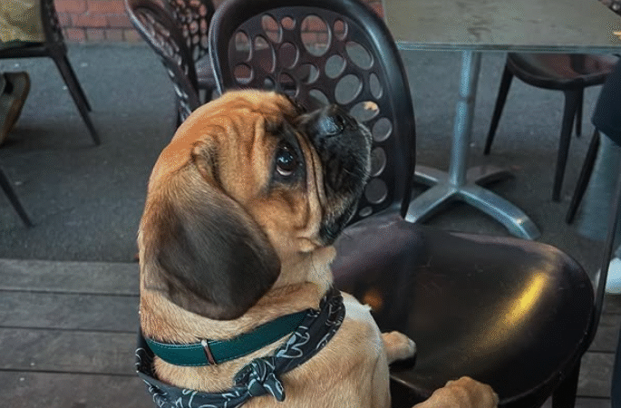 Local Legend Turns Four: Bruno Celebrates at the Union Hotel