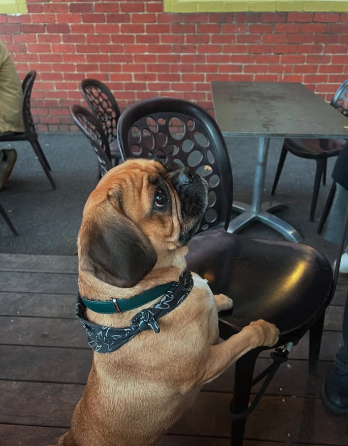 Local Legend Turns Four: Bruno Celebrates at the Union Hotel